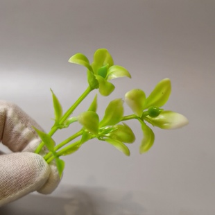 仿真芽苗 胶花创意盘饰意境摆盘装饰酒店用品厨房插花配件假花艺