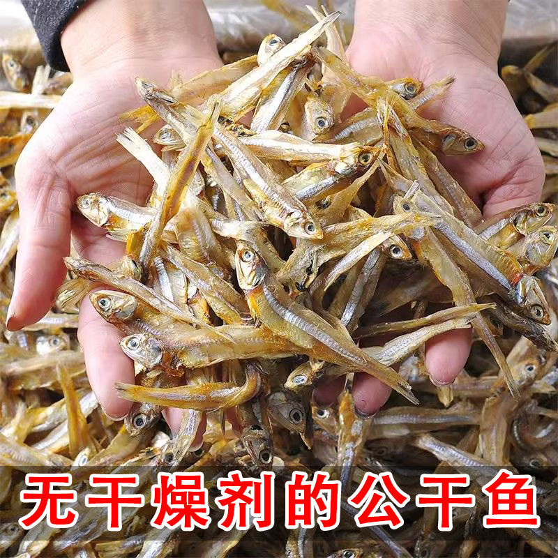 广西北海公干鱼海燕鱼海鱼白凡鱼海鲜干货小鱼干批发