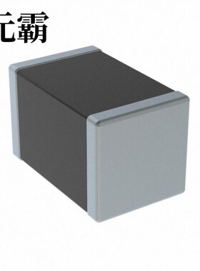 PRG21BB220MB1RK | PRG21BC0R2MM1RA | PRG21BC0R6MM1RA