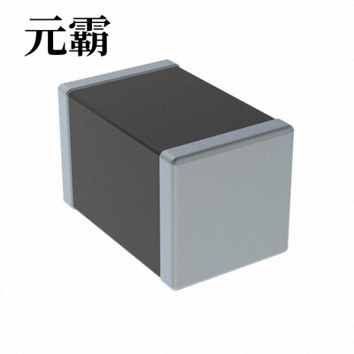 PRG21BB220MB1RK | PRG21BC0R2MM1RA | PRG21BC0R6MM1RA