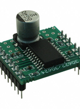 AM306244R1DBGEVB【BOARD DAUGHTER I2C STEP DVR SOIC 】