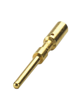 1423645 |  1423646 |  1423961