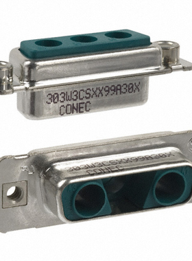 303W3CSXX99A30X |  3040025 |  3040041