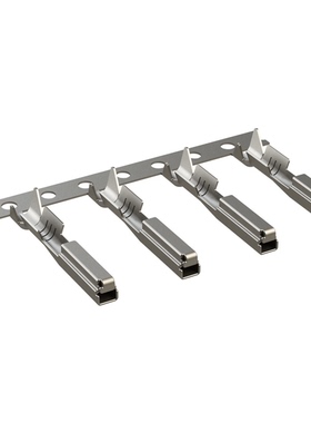 SC000571T | SC000572N | SC000572T