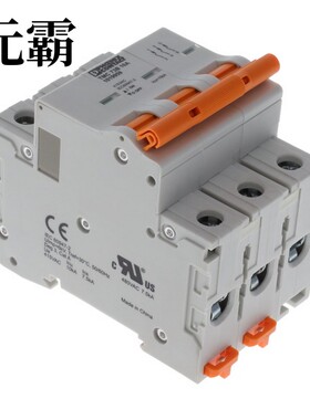 1019959 | 1019960 | 1019961