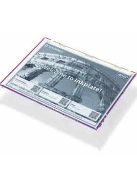 333241【INKPLATE 10 】