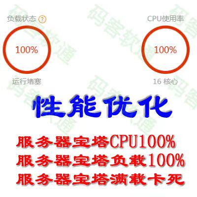 网站小程序服务器宝塔面板cpu100%满载卡死打不开维护打开慢优化