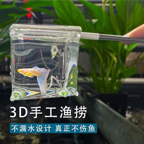 不漏水透明捞鱼网小型观赏鱼3D不伤鱼手抄网鱼缸渔捞鱼网兜斗鱼