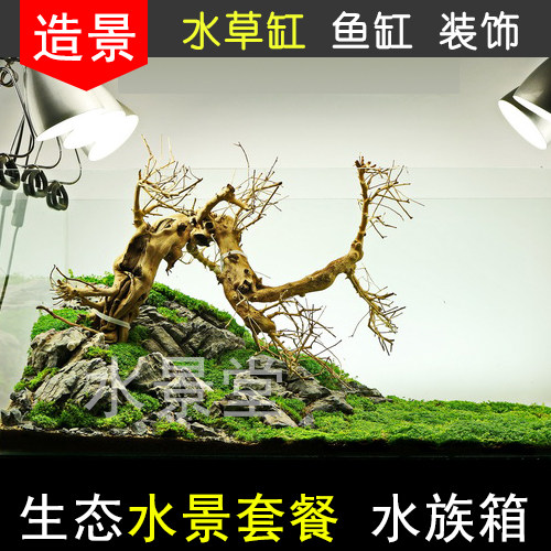 杜鹃根造景套餐缸水里养的花绿植造景疯狂水草小米米家智能鱼缸使用感如何?