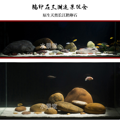 青龙石造景套餐水草鱼缸超白缸疯狂石头水草一木一叶草鱼缸造景假