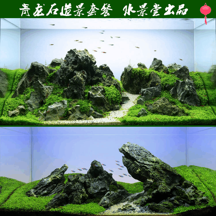 鱼缸装饰 青龙石套餐 水草小米水草