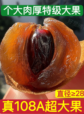 桂圆干108A特级超大果新货干桂圆结婚年货博白桂圆500克