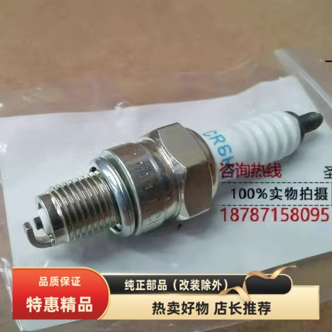 铃木QS150-5/6/7/8/9/10火花塞