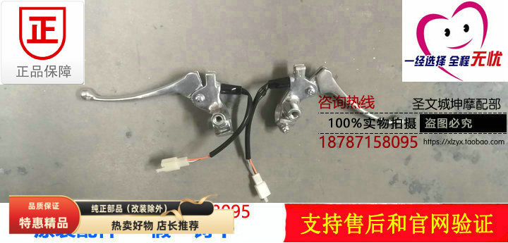 轻骑铃木丽彩QS125T-6刹车手柄