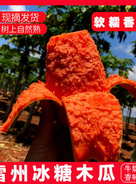 正宗广东雷州冰糖红心木瓜新