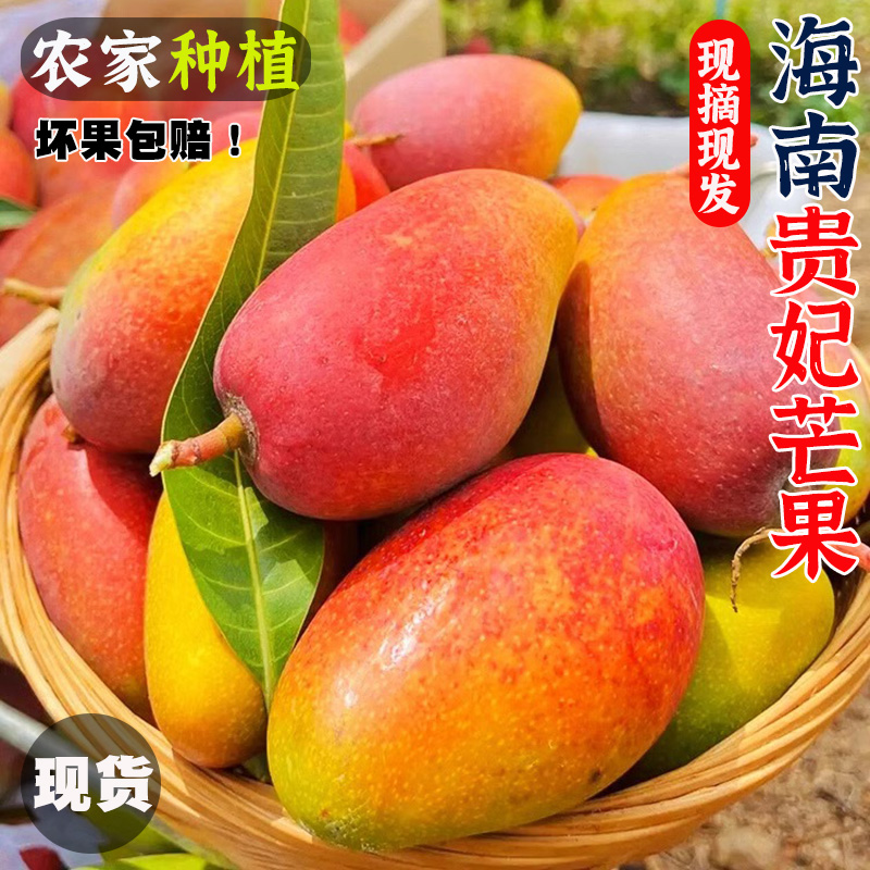 正宗海南贵妃芒9斤新鲜热带水果特产当季整箱树上熟现摘三亚芒果