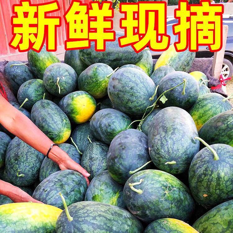 新鲜黑美人西瓜新鲜水果应季爆甜品种5-10斤产地直发黑籽红肉包甜,水产肉类/新鲜蔬果/熟食,西瓜,淘宝优惠券,粉丝福利购,淘宝优惠卷