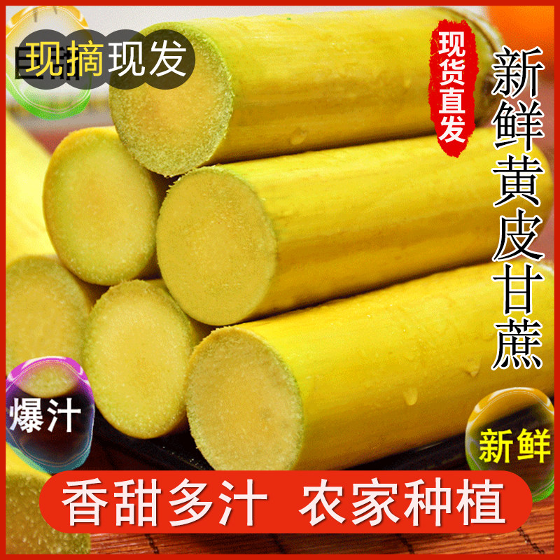 应季现砍现发广西黄皮甘蔗水果新鲜当季甜杆脆孕妇青紫食用甘蔗云