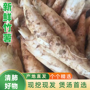 农家新鲜竹薯现挖无渣竹芋5斤当季冬粉薯凉粉薯根茎薯煲汤炒菜鲜
