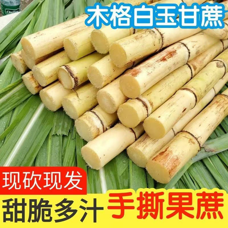 正宗广西木格白玉甘蔗新鲜特产孕妇水果当季整箱玻璃脆种现砍现发,水产肉类/新鲜蔬果/熟食,甘蔗,淘宝优惠券,粉丝福利购,淘宝优惠卷