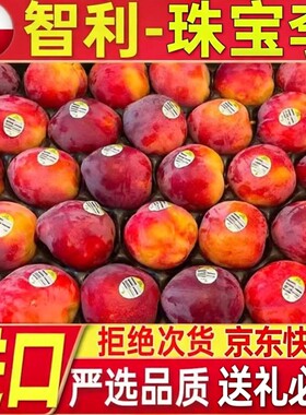 发货李子水果恐龙蛋凤凰李进口果