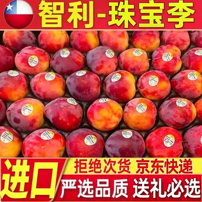 发货李子水果恐龙蛋凤凰李进口果