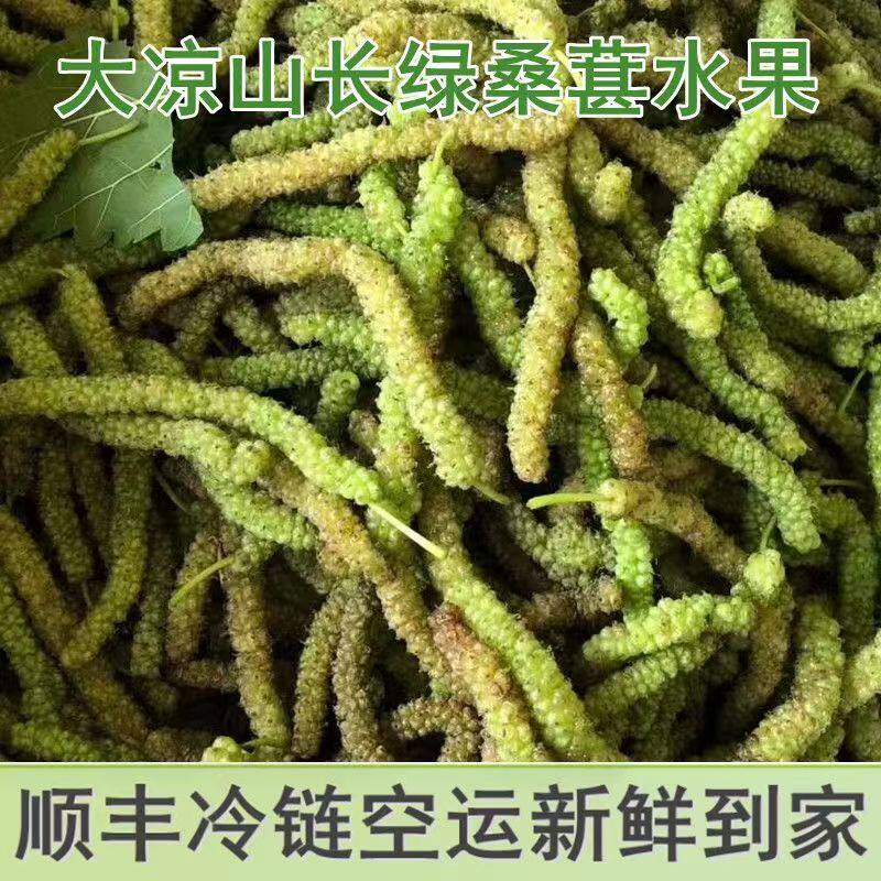 【顺丰空运】四川稀有长桑葚新鲜现摘新鲜长绿桑椹长桑泡甜水果2