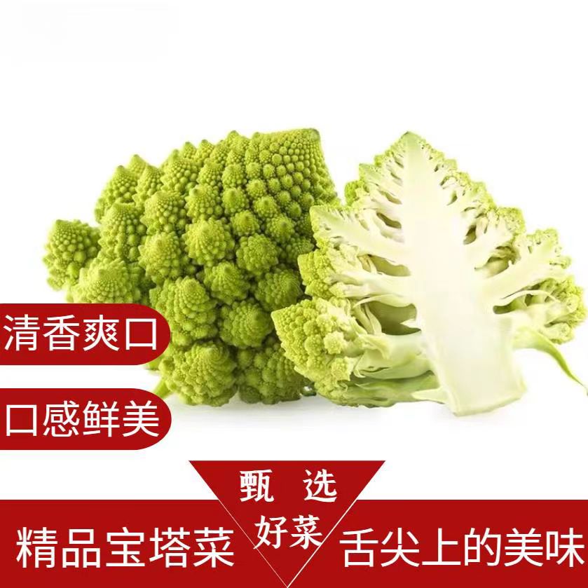 顺丰宝塔菜当季新鲜罗马花椰菜山东特产绿佛头蔬菜西蓝花菜现砍