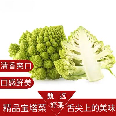 顺丰宝塔菜当季新鲜罗马花椰菜山东特产绿佛头蔬菜西蓝花菜现砍