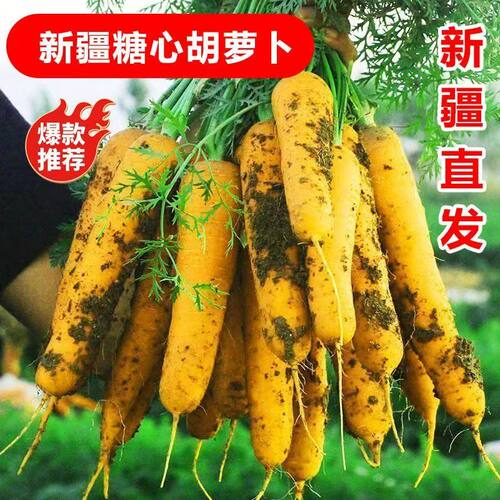 新疆特产黄萝卜手抓饭配料黄色胡萝卜餐饮直供新货农家自种糖心胡