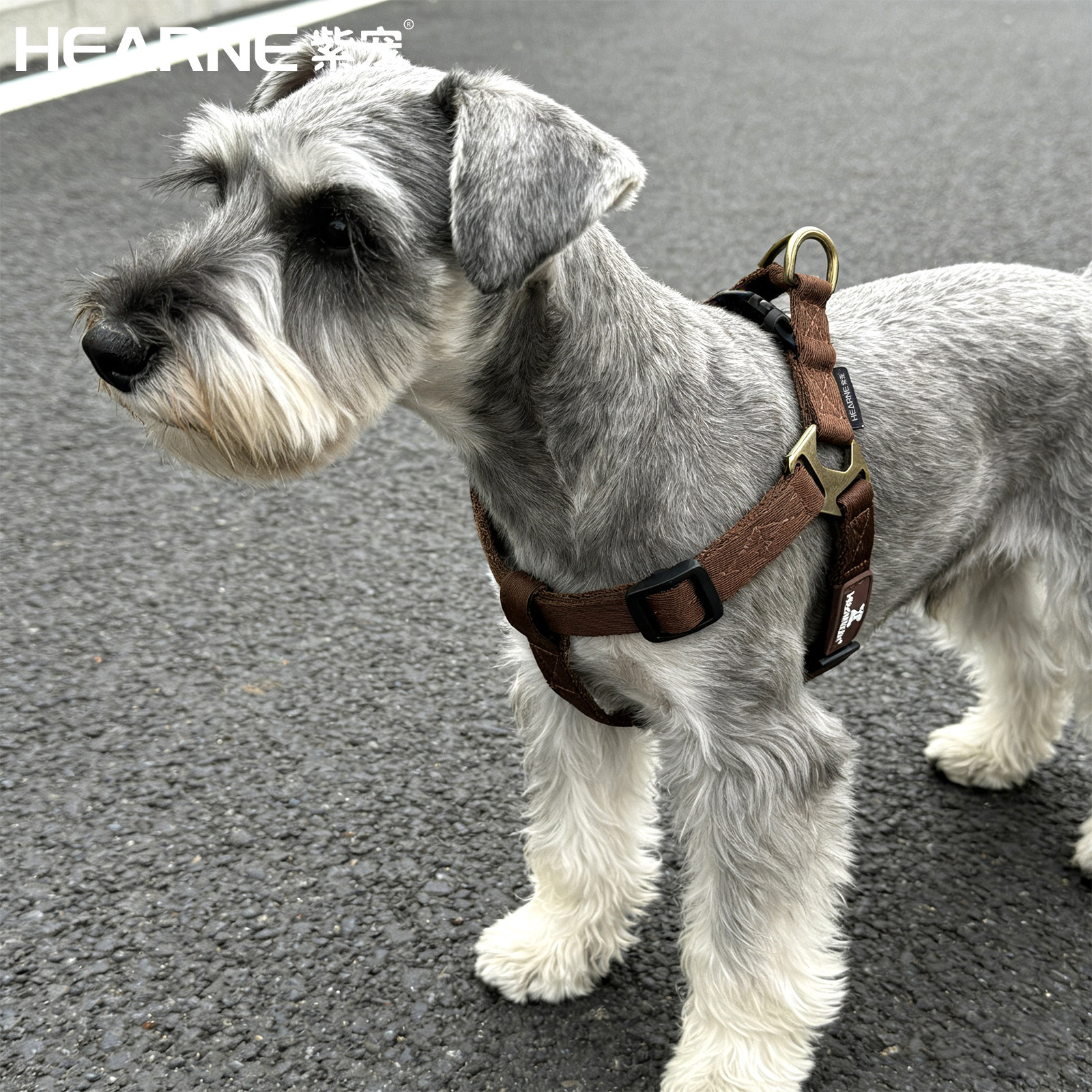 HEARNE紫宠狗狗胸背带小中大型犬通用比熊泰迪背心式牵引绳可调节,宠物/宠物食品及用品,狗牵引绳,淘宝优惠券,粉丝福利购,淘宝优惠卷