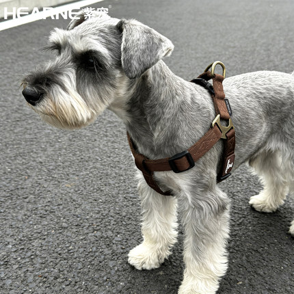 HEARNE紫宠狗狗胸背带牵引绳小型犬比熊泰迪狗绳宠物狗背心式狗链