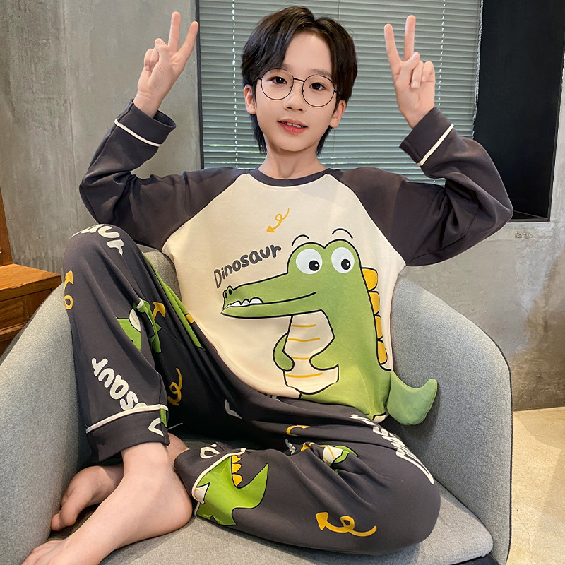 纯棉男童睡衣圆领春秋新款中大童男孩长袖恐龙套头家居服套装2026