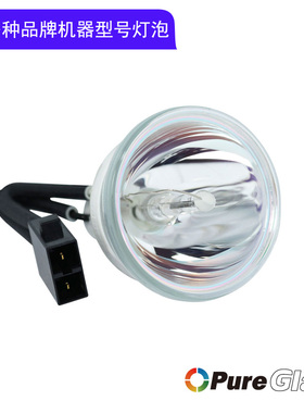 原装夏普XG-D5800XA/D5810XA/XD537WA/D4800XA/D4810XA/D4820XA/D4860XA/D4880WA/DX540XA+投影机仪灯泡