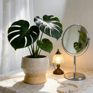 北欧风陶瓷大花盆绿植客厅简约龟背竹绿植盆栽金钱树专用特价包邮