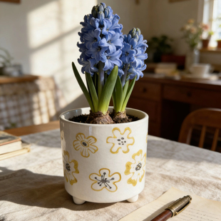 北欧风陶瓷大花盆绿植客厅简约龟背竹绿植盆栽金钱树专用特价包邮