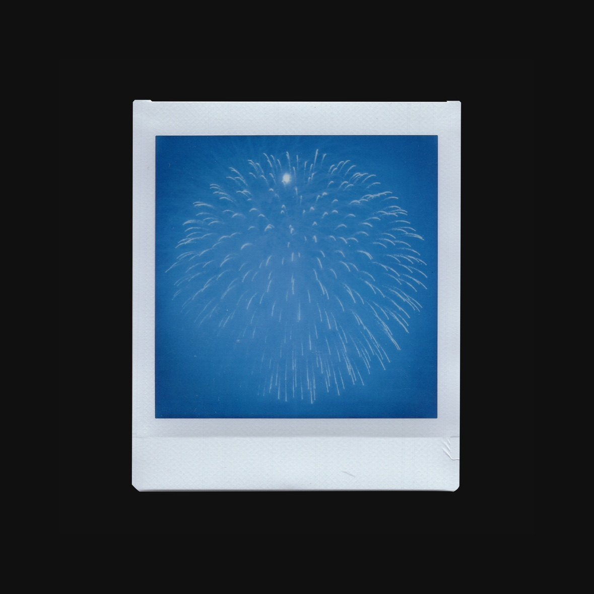 charafm|原创拍立得相片 摄影作品 烟花 山茶花 装饰相片