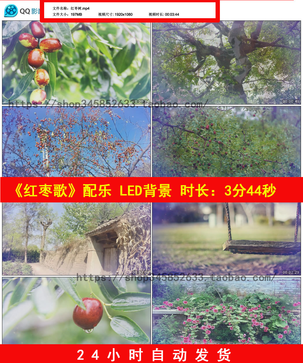 红枣树歌曲mv配乐成品思念家乡年会晚会led舞台背景视频素材b795