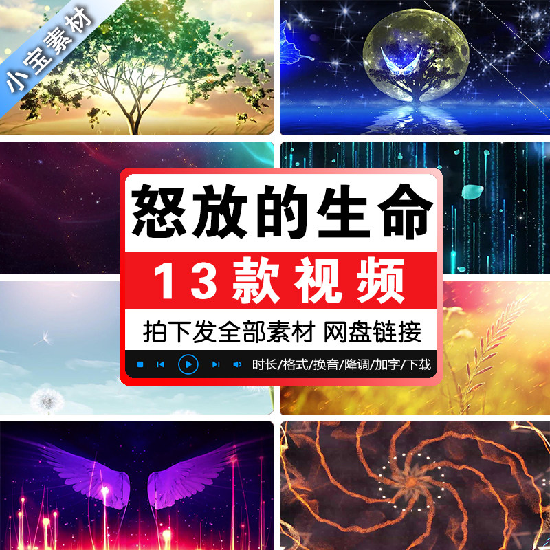 怒放的生命歌曲配乐成品晚会LED大屏幕舞台演出背景高清视频舞蹈