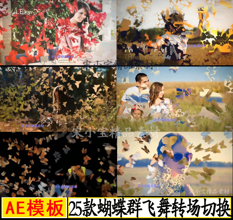 25款美妙蝴蝶群转场过渡动画效设计素材/源文件