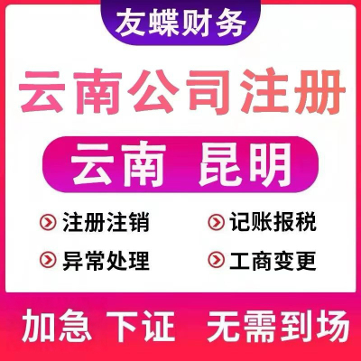 云南昆明公司个体营业执照法人注销异常解除税务银行工商注销地址