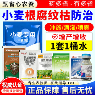 小麦根腐病茎基腐病纹枯病专用套餐死苗烂根干尖黄叶杀菌剂组合