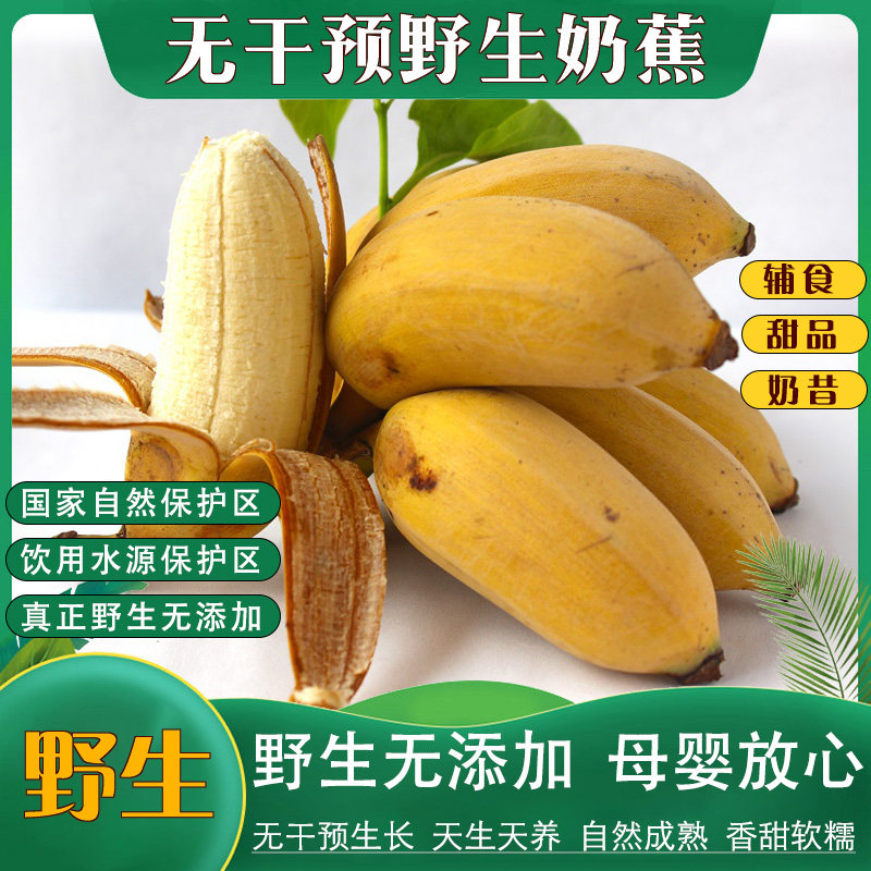高山无干预野生粉蕉奶蕉小米蕉天然无添加孕妇宝宝辅食放心吃包邮