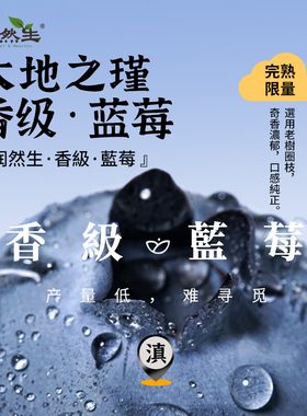 润然生 云南高原新鲜香级蓝莓非优瑞卡蓝莓9甜1酸 当季限量水果sf
