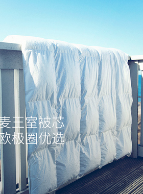 FOSSFLAKES进口酒店被芯可机洗保暖被冬季家用春秋被子双人秋冬被