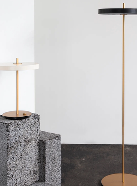 Y Asteria floor lamp  丹麦进口落地灯