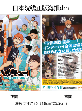 排球少年剧场版 胜者与败者日本宣传官方原版海报dm 2015年