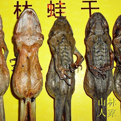 山林人家纯干11g包邮长白山雪蛤