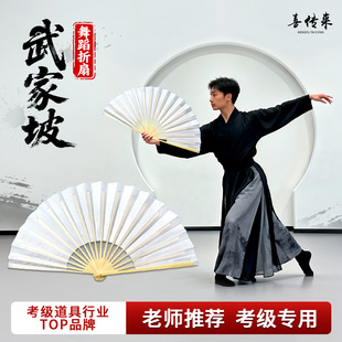 武家坡舞蹈白扇子演出表演古典舞中国舞国风折扇跳舞白色绢布书生
