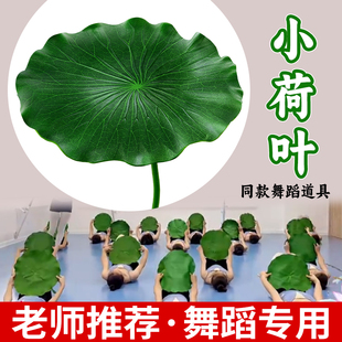 小荷叶舞蹈仿真道具手持表演演出采莲入莲间儿童原版幼儿园江南